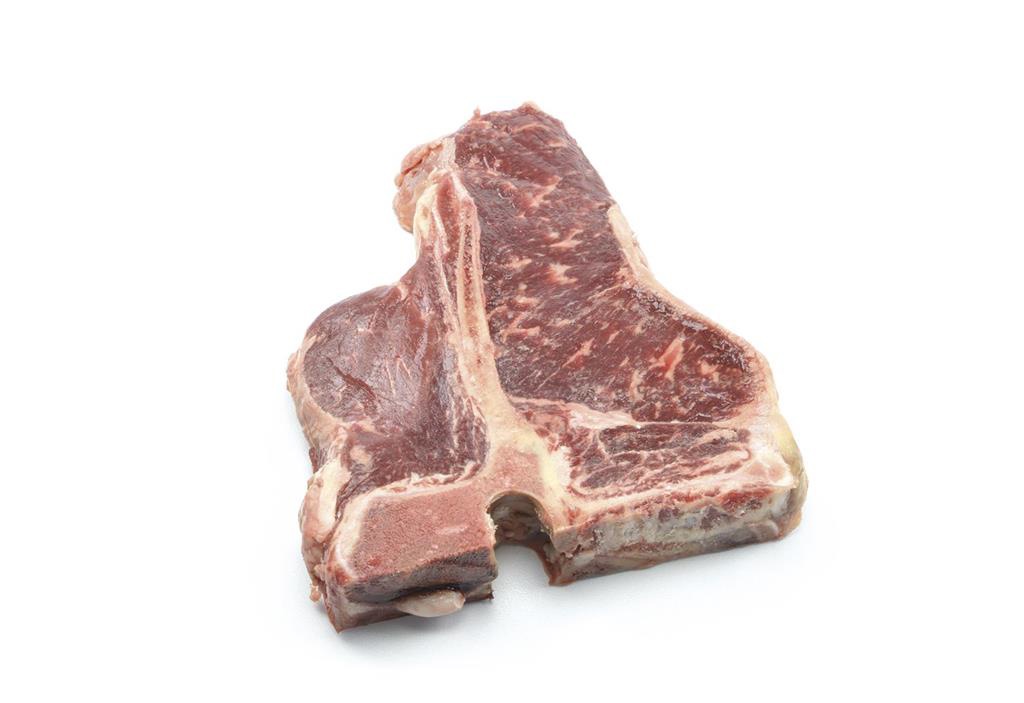 Holstein T-bone